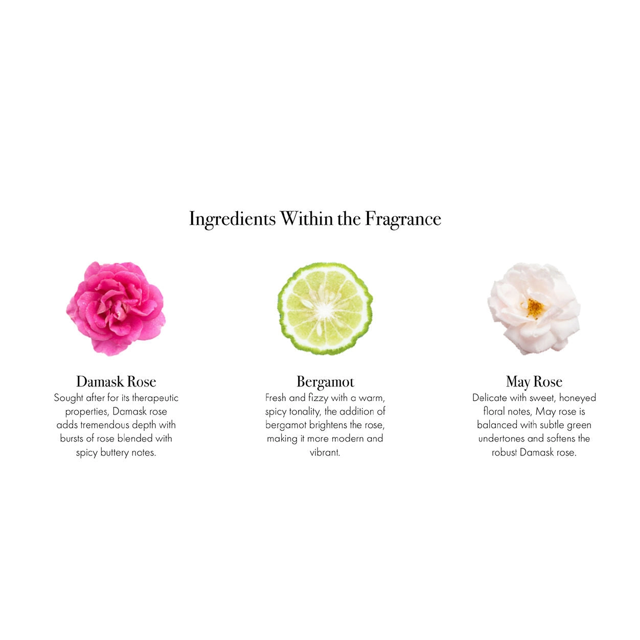 Blush Rose Signature Candle