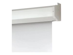 Draper Targa 16:10 Format - Projection screen - ceiling mountable, wall mountable - motorized - 110 V - 123 (122.8 in) - 16:10 116369U