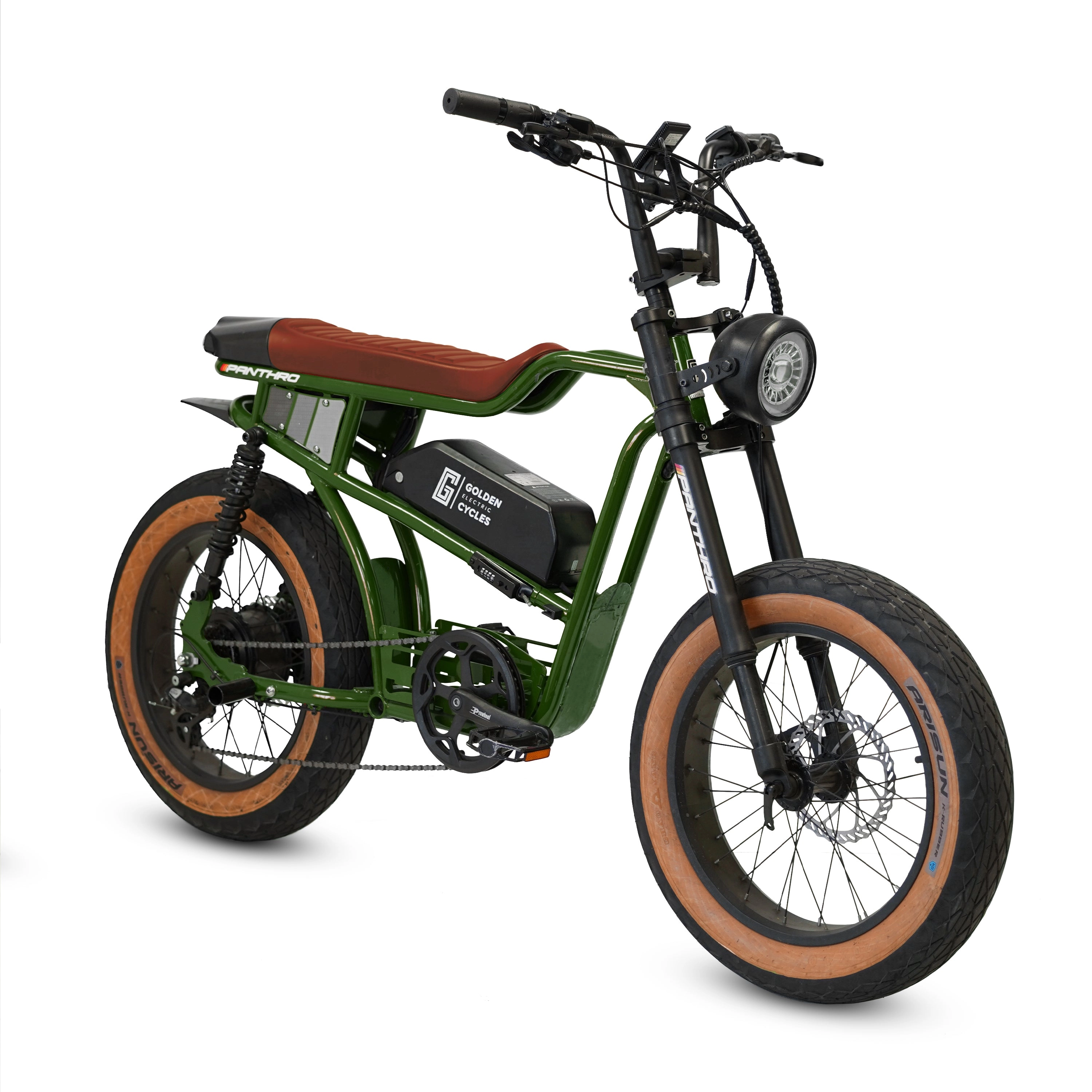 Golden Cycles Panthro Moto Style Electric Bike