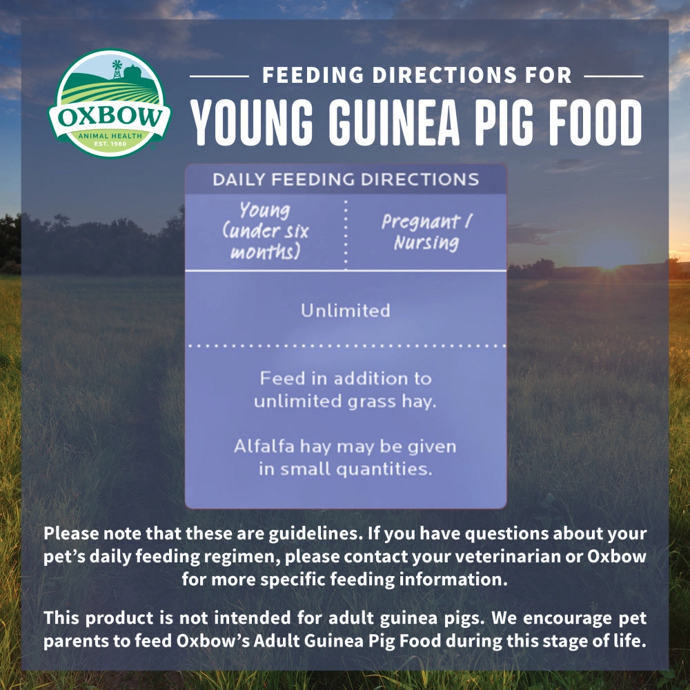 Oxbow Animal Health Essentials Young Guinea Pig Food All Natural Guinea Pig Pellets