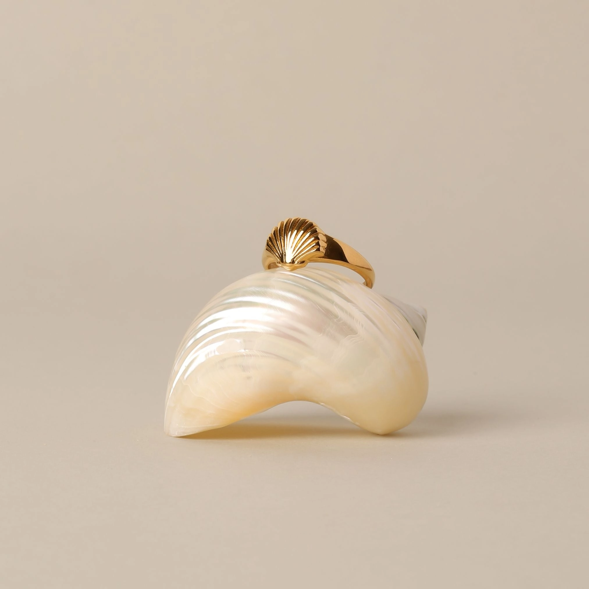 Seashell Ring