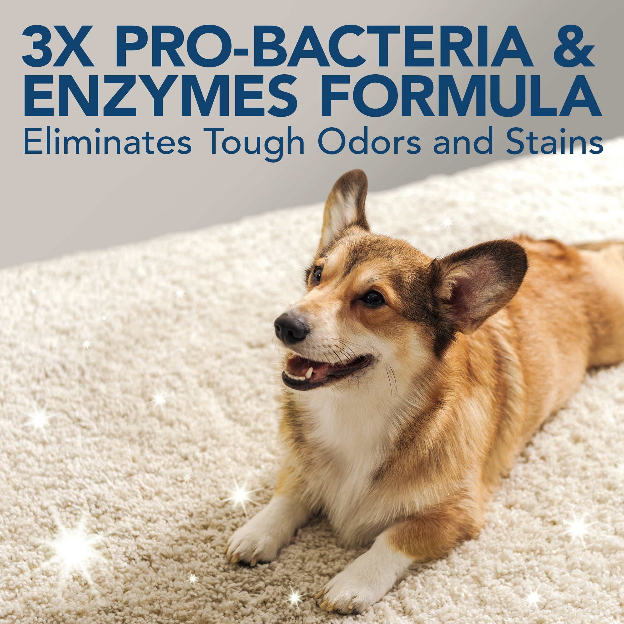 Simple Solution Extreme Stain and Odor Remover 32oz