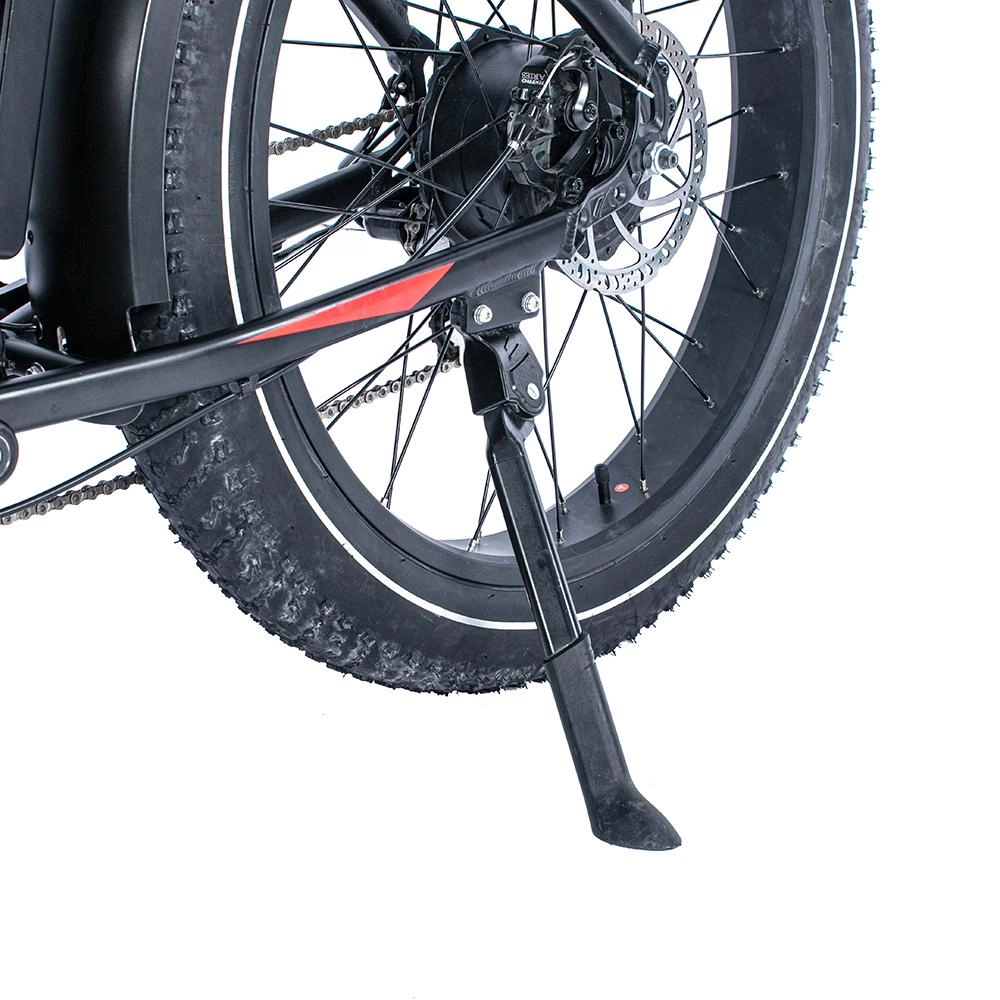 Single-Leg Kickstand