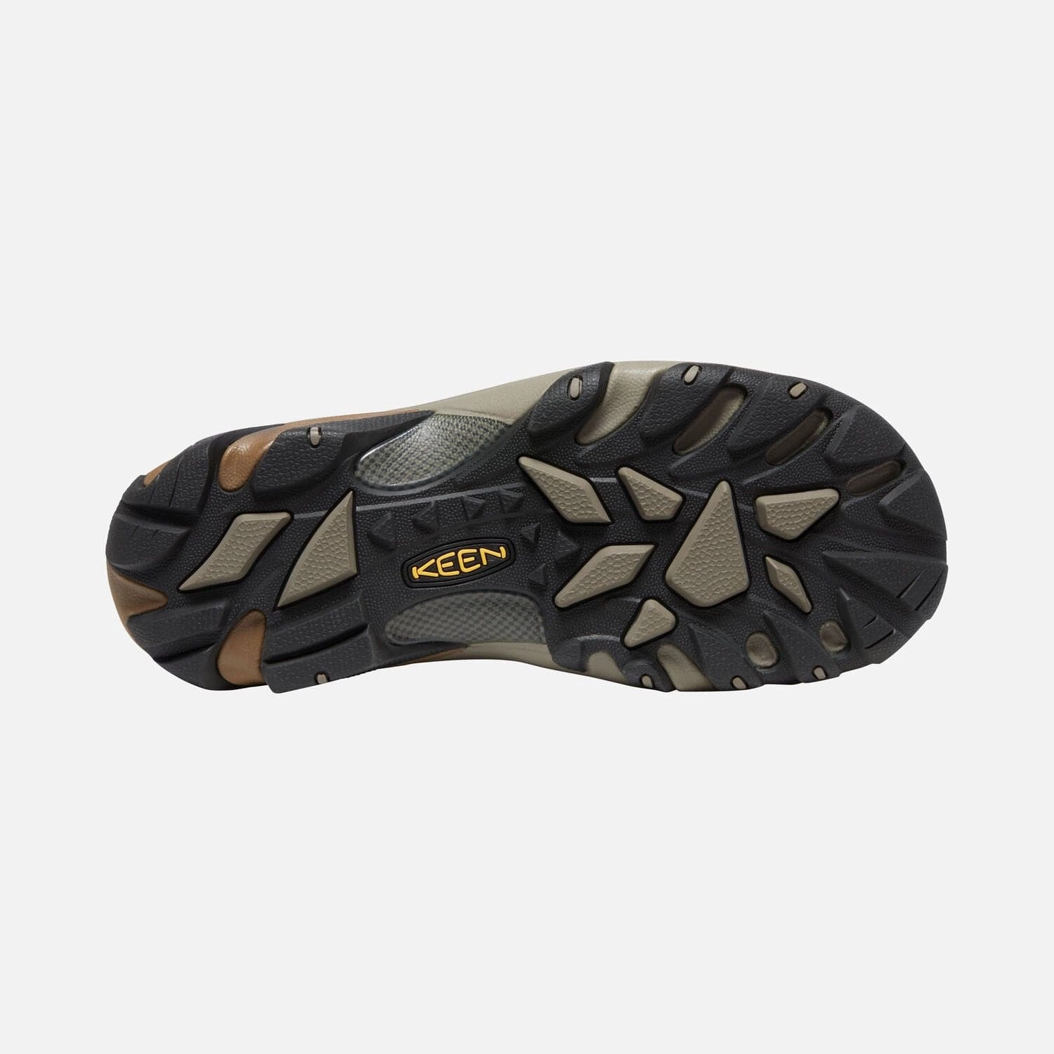 Targhee II Clog